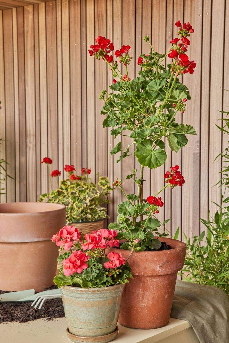 Grünblick Gartenservice GmbH 11